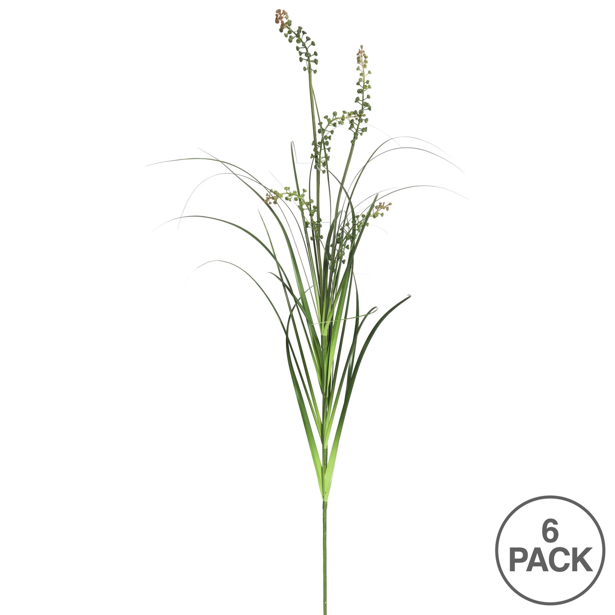 6 Pack: Green Sheep's Grass Spray